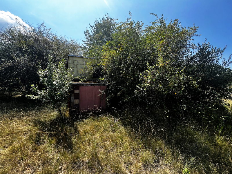 Chippewa Drive-In Theatre - Aug 21 2024